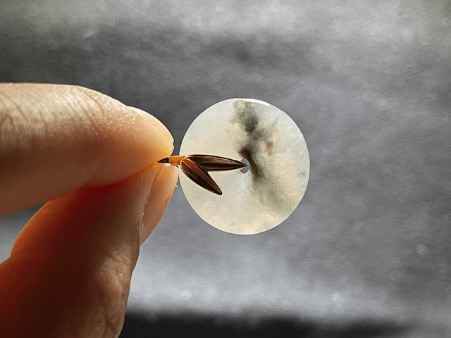 Pendentif Ping An Kou - Algue noir